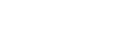 10._Cheetah.png